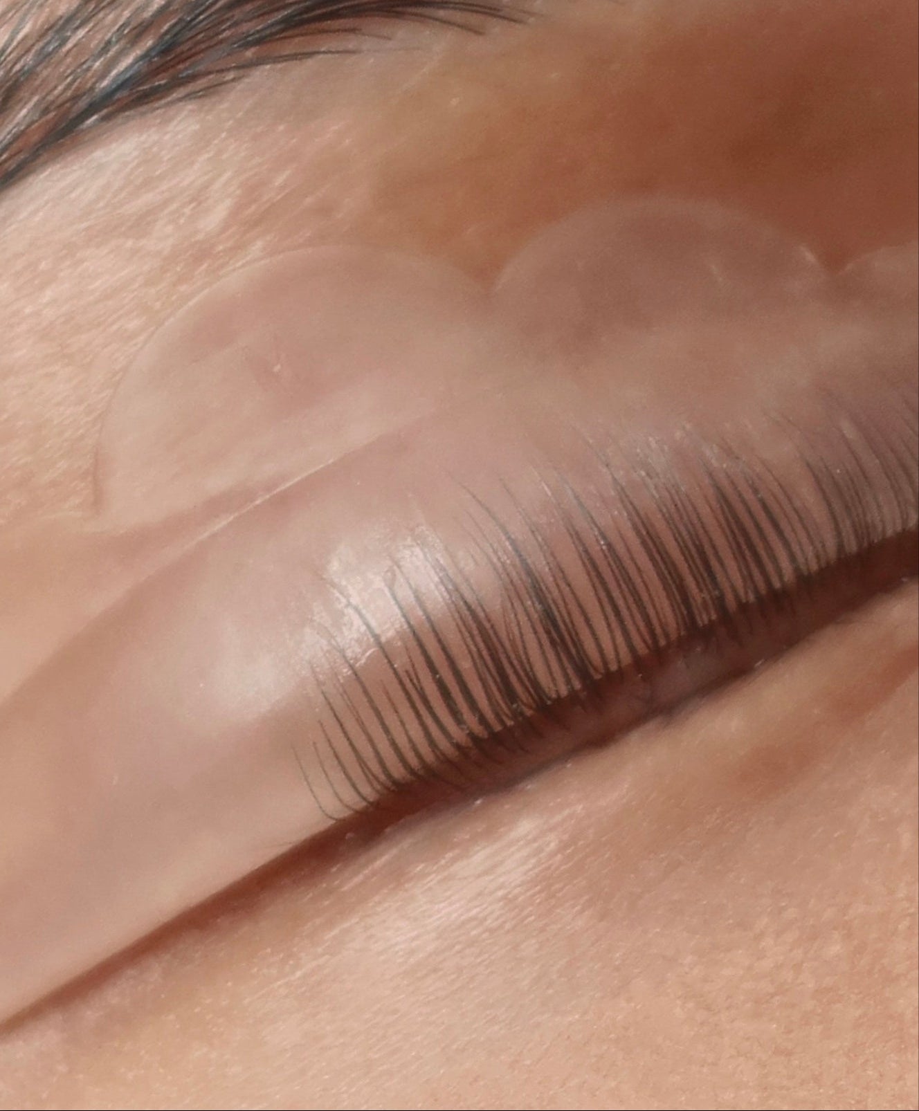 lash lifts